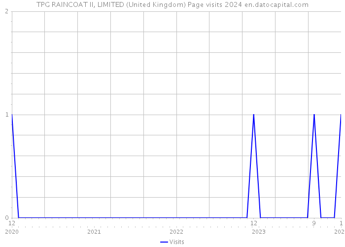 TPG RAINCOAT II, LIMITED (United Kingdom) Page visits 2024 