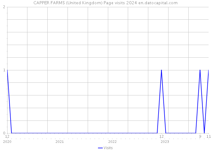 CAPPER FARMS (United Kingdom) Page visits 2024 
