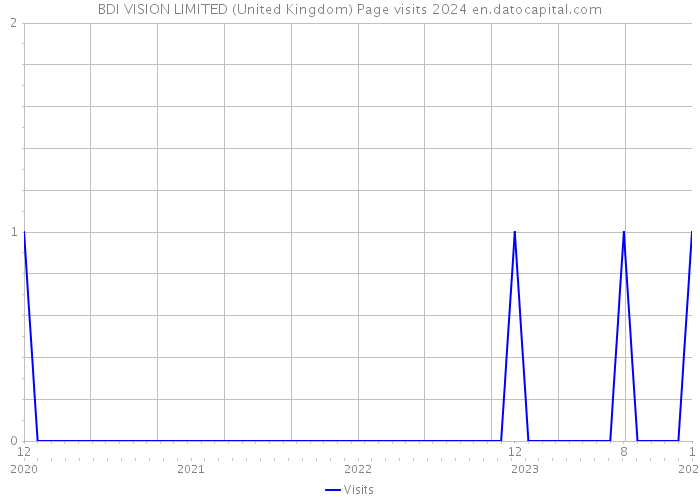 BDI VISION LIMITED (United Kingdom) Page visits 2024 