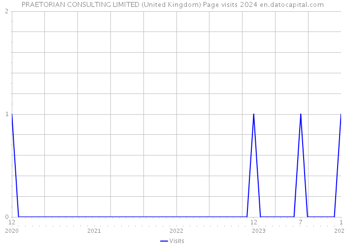 PRAETORIAN CONSULTING LIMITED (United Kingdom) Page visits 2024 