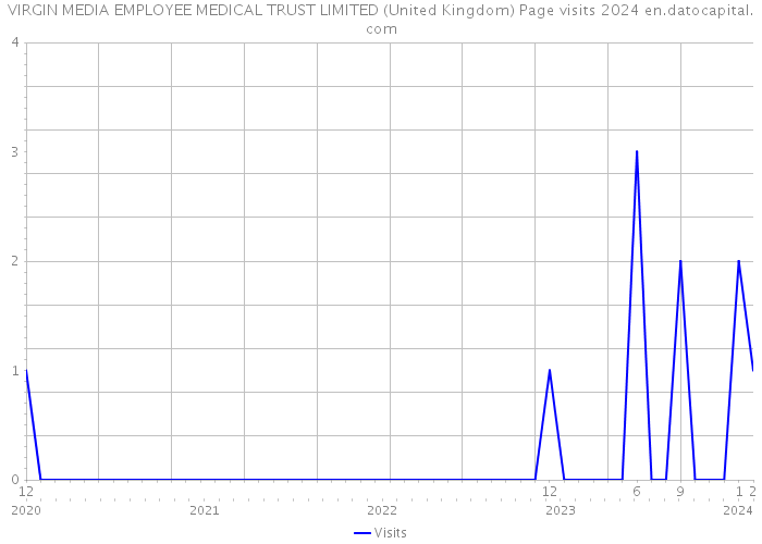 VIRGIN MEDIA EMPLOYEE MEDICAL TRUST LIMITED (United Kingdom) Page visits 2024 