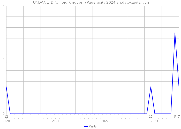 TUNDRA LTD (United Kingdom) Page visits 2024 