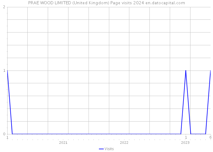 PRAE WOOD LIMITED (United Kingdom) Page visits 2024 