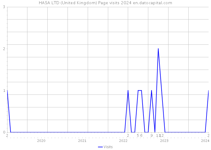 HASA LTD (United Kingdom) Page visits 2024 