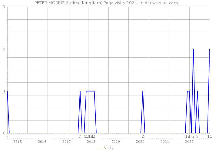 PETER MORRIS (United Kingdom) Page visits 2024 