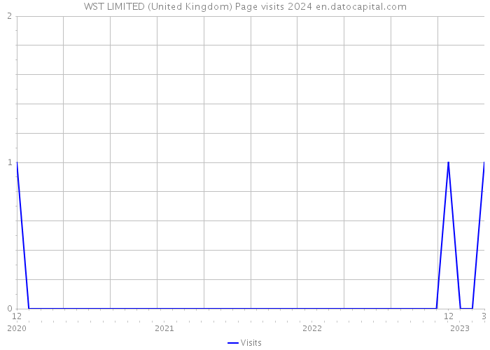 WST LIMITED (United Kingdom) Page visits 2024 