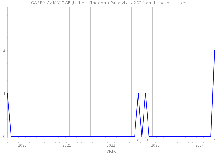 GARRY CAMMIDGE (United Kingdom) Page visits 2024 
