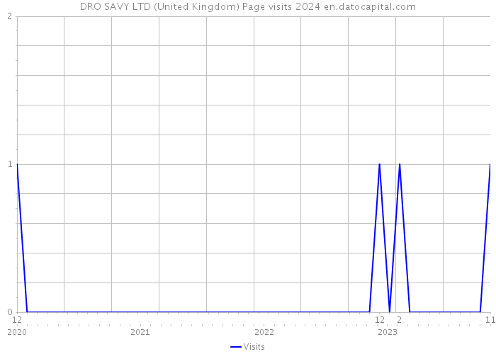 DRO SAVY LTD (United Kingdom) Page visits 2024 