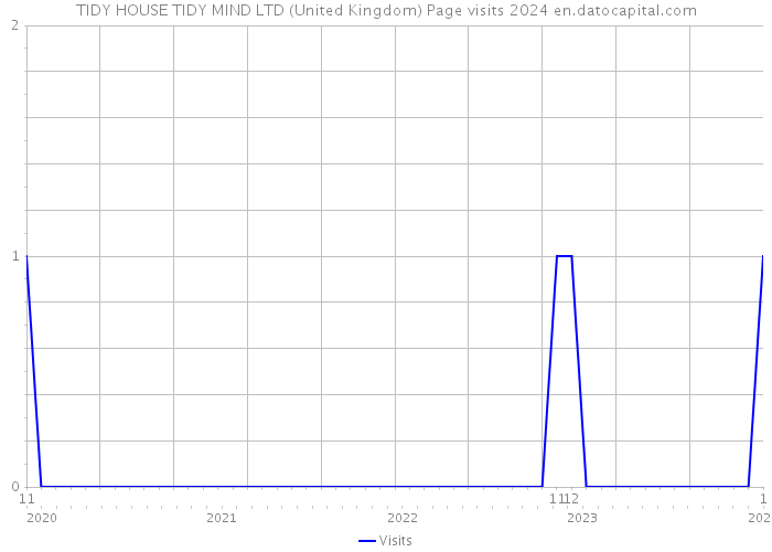TIDY HOUSE TIDY MIND LTD (United Kingdom) Page visits 2024 