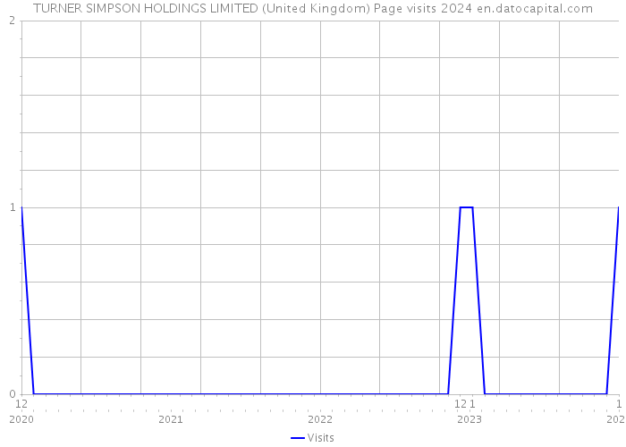 TURNER SIMPSON HOLDINGS LIMITED (United Kingdom) Page visits 2024 