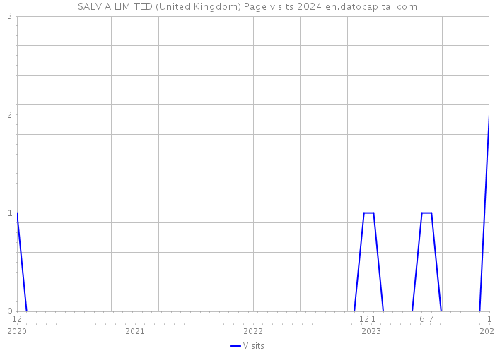 SALVIA LIMITED (United Kingdom) Page visits 2024 