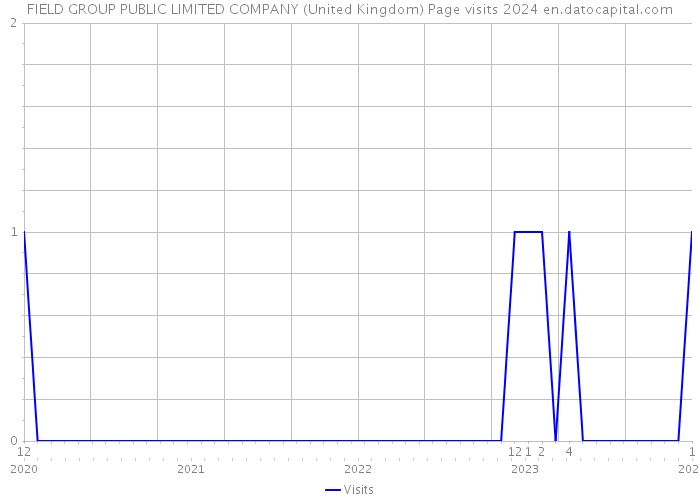 FIELD GROUP PUBLIC LIMITED COMPANY (United Kingdom) Page visits 2024 