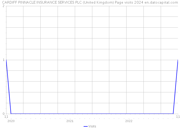 CARDIFF PINNACLE INSURANCE SERVICES PLC (United Kingdom) Page visits 2024 
