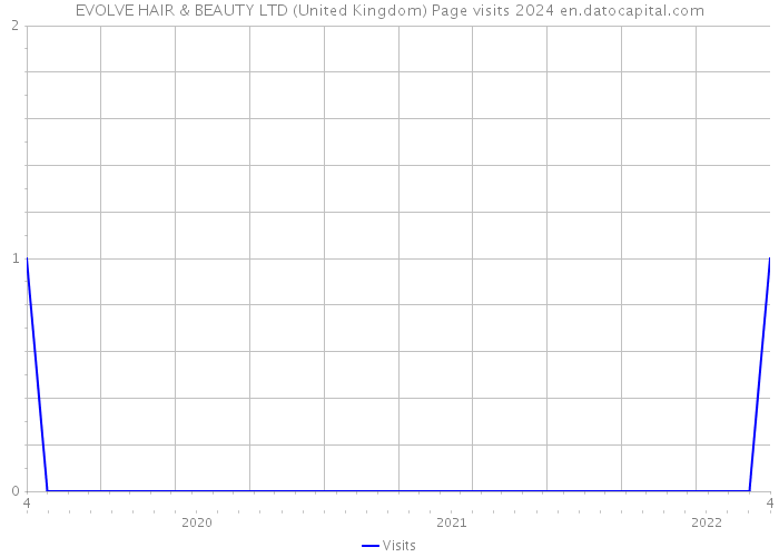 EVOLVE HAIR & BEAUTY LTD (United Kingdom) Page visits 2024 