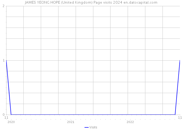 JAMES YEONG HOPE (United Kingdom) Page visits 2024 