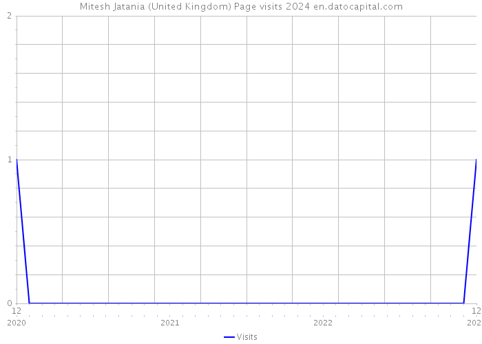 Mitesh Jatania (United Kingdom) Page visits 2024 