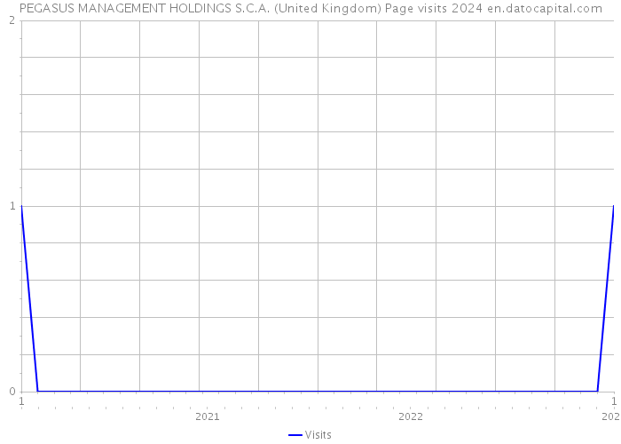 PEGASUS MANAGEMENT HOLDINGS S.C.A. (United Kingdom) Page visits 2024 