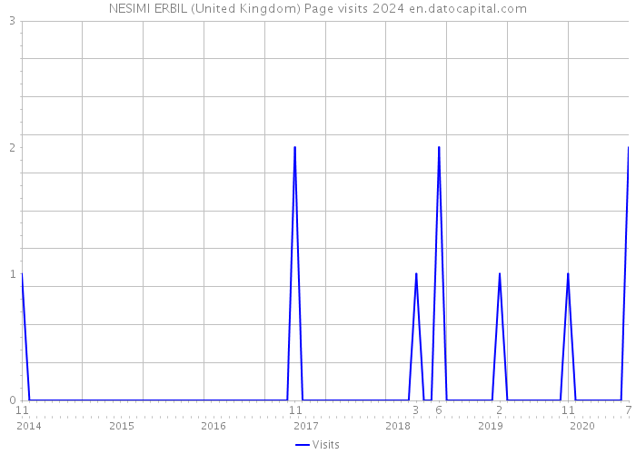 NESIMI ERBIL (United Kingdom) Page visits 2024 