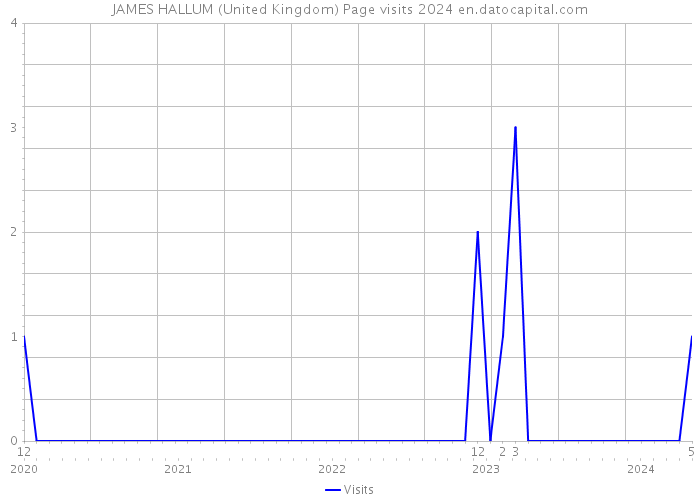JAMES HALLUM (United Kingdom) Page visits 2024 