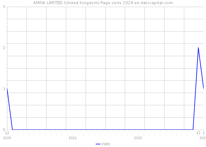 AMNA LIMITED (United Kingdom) Page visits 2024 
