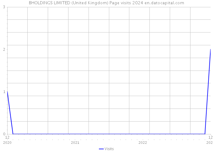 BHOLDINGS LIMITED (United Kingdom) Page visits 2024 