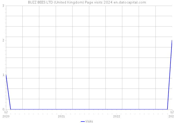 BUZZ BEES LTD (United Kingdom) Page visits 2024 