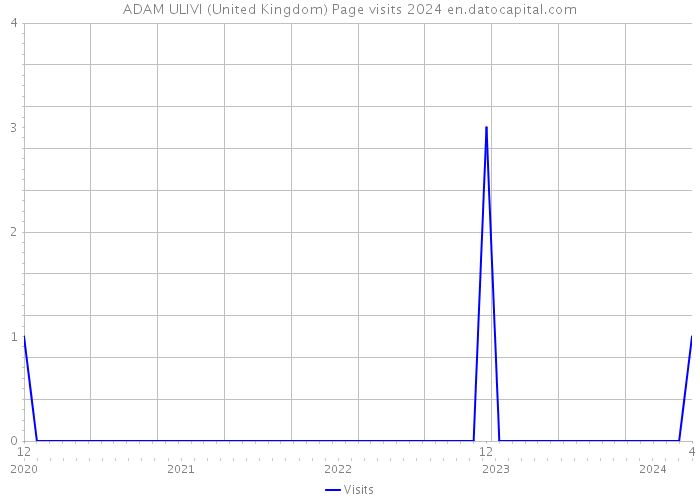 ADAM ULIVI (United Kingdom) Page visits 2024 