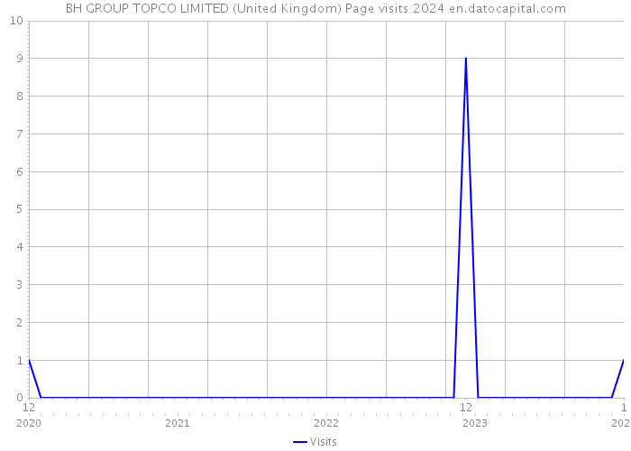 BH GROUP TOPCO LIMITED (United Kingdom) Page visits 2024 