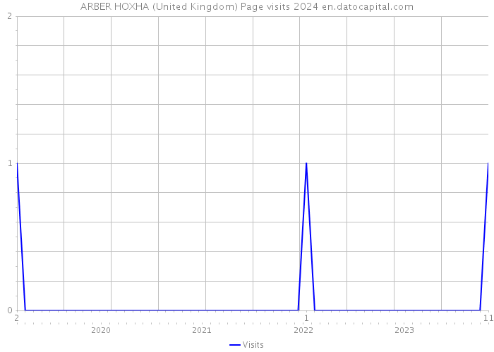 ARBER HOXHA (United Kingdom) Page visits 2024 
