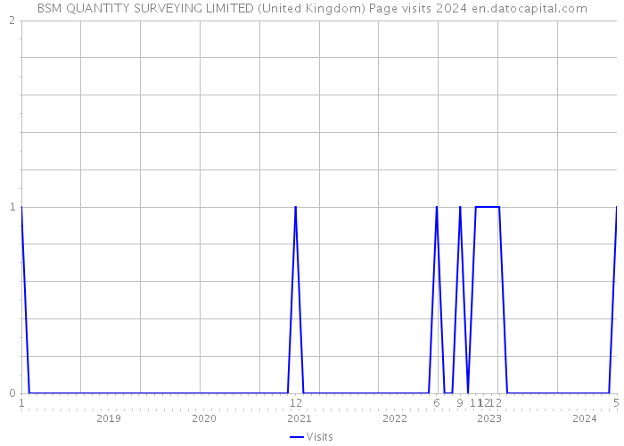 BSM QUANTITY SURVEYING LIMITED (United Kingdom) Page visits 2024 