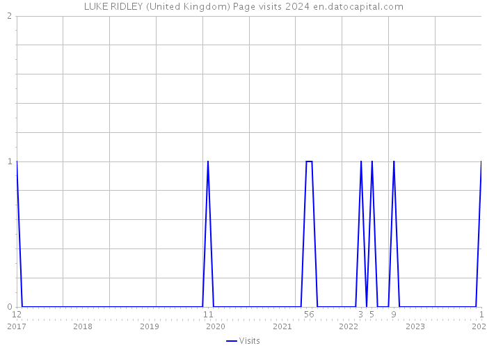 LUKE RIDLEY (United Kingdom) Page visits 2024 