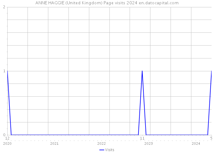 ANNE HAGGIE (United Kingdom) Page visits 2024 