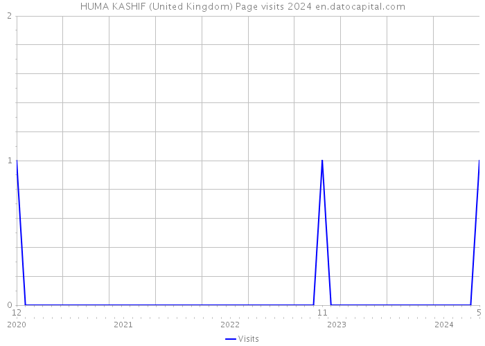 HUMA KASHIF (United Kingdom) Page visits 2024 