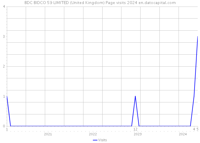 BDC BIDCO 59 LIMITED (United Kingdom) Page visits 2024 