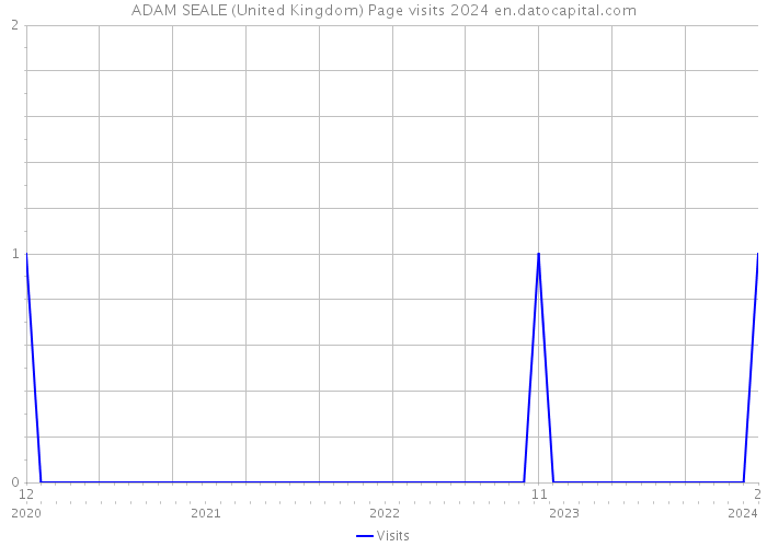 ADAM SEALE (United Kingdom) Page visits 2024 