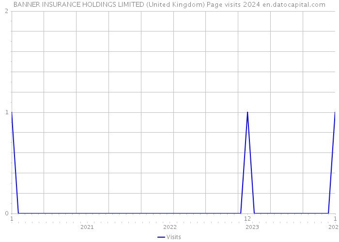 BANNER INSURANCE HOLDINGS LIMITED (United Kingdom) Page visits 2024 