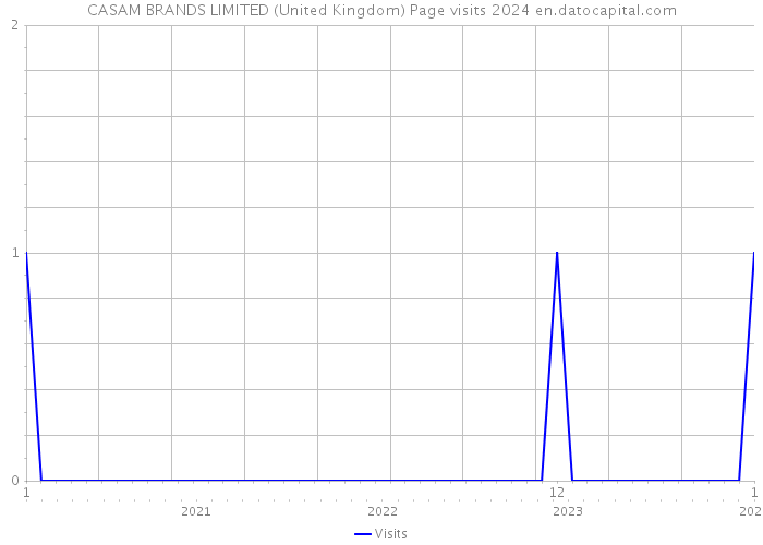 CASAM BRANDS LIMITED (United Kingdom) Page visits 2024 