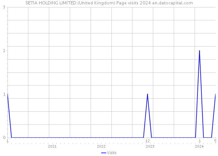 SETIA HOLDING LIMITED (United Kingdom) Page visits 2024 