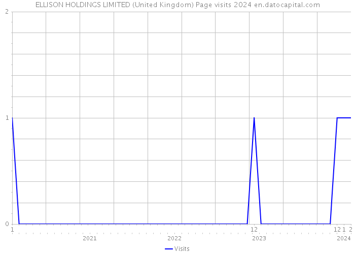 ELLISON HOLDINGS LIMITED (United Kingdom) Page visits 2024 