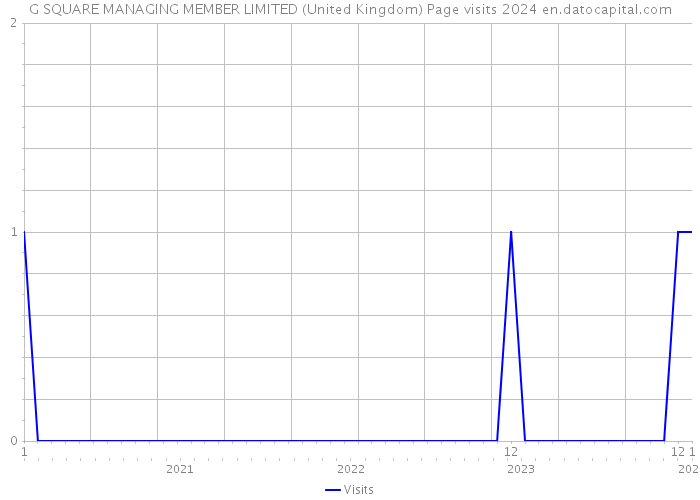 G SQUARE MANAGING MEMBER LIMITED (United Kingdom) Page visits 2024 