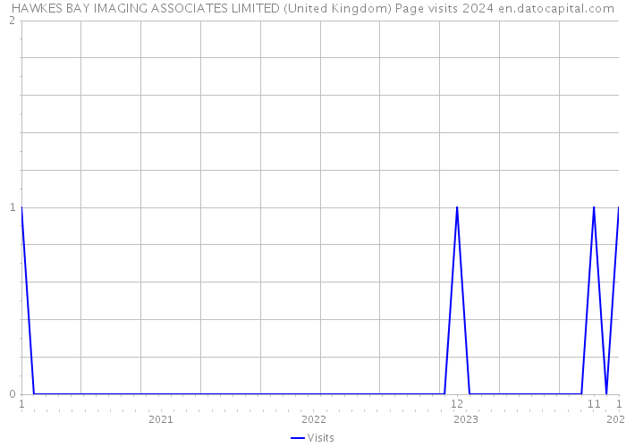 HAWKES BAY IMAGING ASSOCIATES LIMITED (United Kingdom) Page visits 2024 