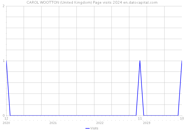 CAROL WOOTTON (United Kingdom) Page visits 2024 