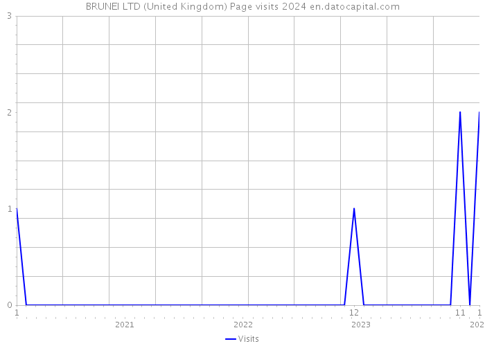 BRUNEI LTD (United Kingdom) Page visits 2024 