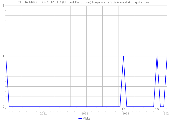 CHINA BRIGHT GROUP LTD (United Kingdom) Page visits 2024 