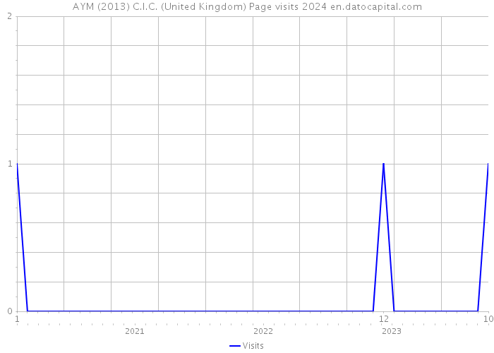 AYM (2013) C.I.C. (United Kingdom) Page visits 2024 
