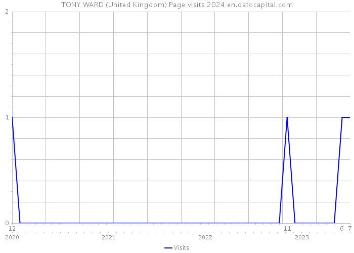 TONY WARD (United Kingdom) Page visits 2024 