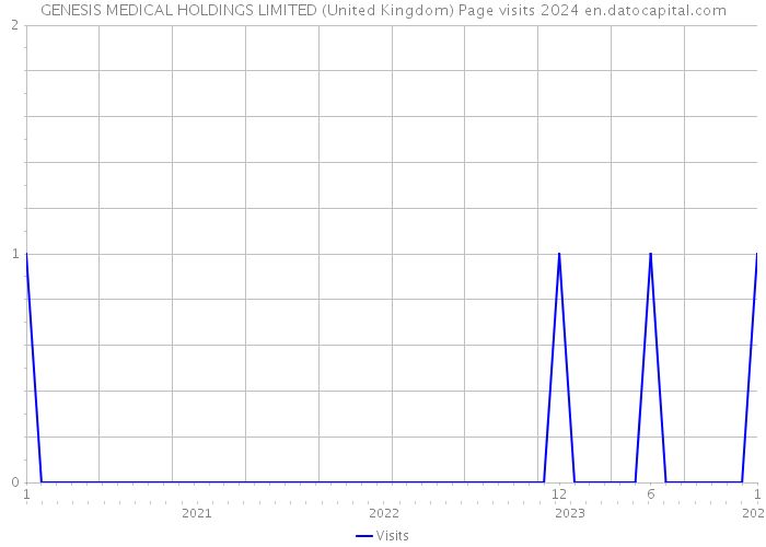 GENESIS MEDICAL HOLDINGS LIMITED (United Kingdom) Page visits 2024 