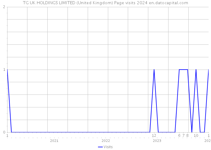 TG UK HOLDINGS LIMITED (United Kingdom) Page visits 2024 