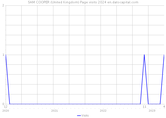 SAM COOPER (United Kingdom) Page visits 2024 