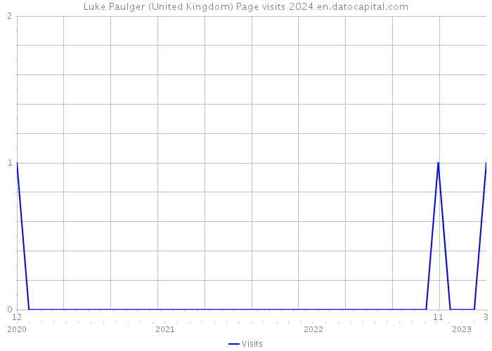 Luke Paulger (United Kingdom) Page visits 2024 